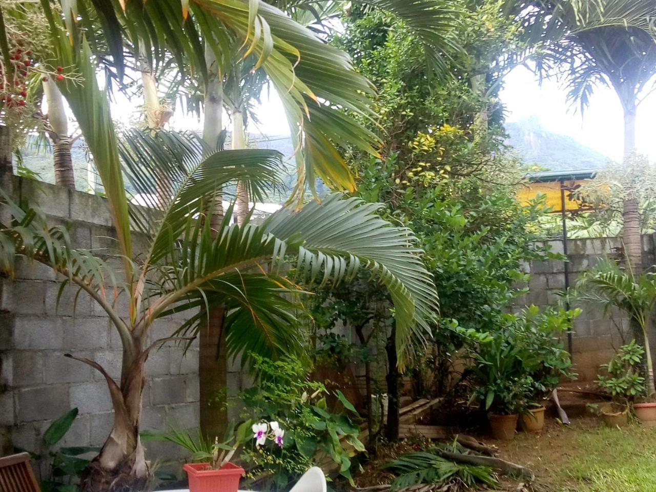 Corner Bay Apartments Beau Vallon,Mahe Victoria Exterior foto