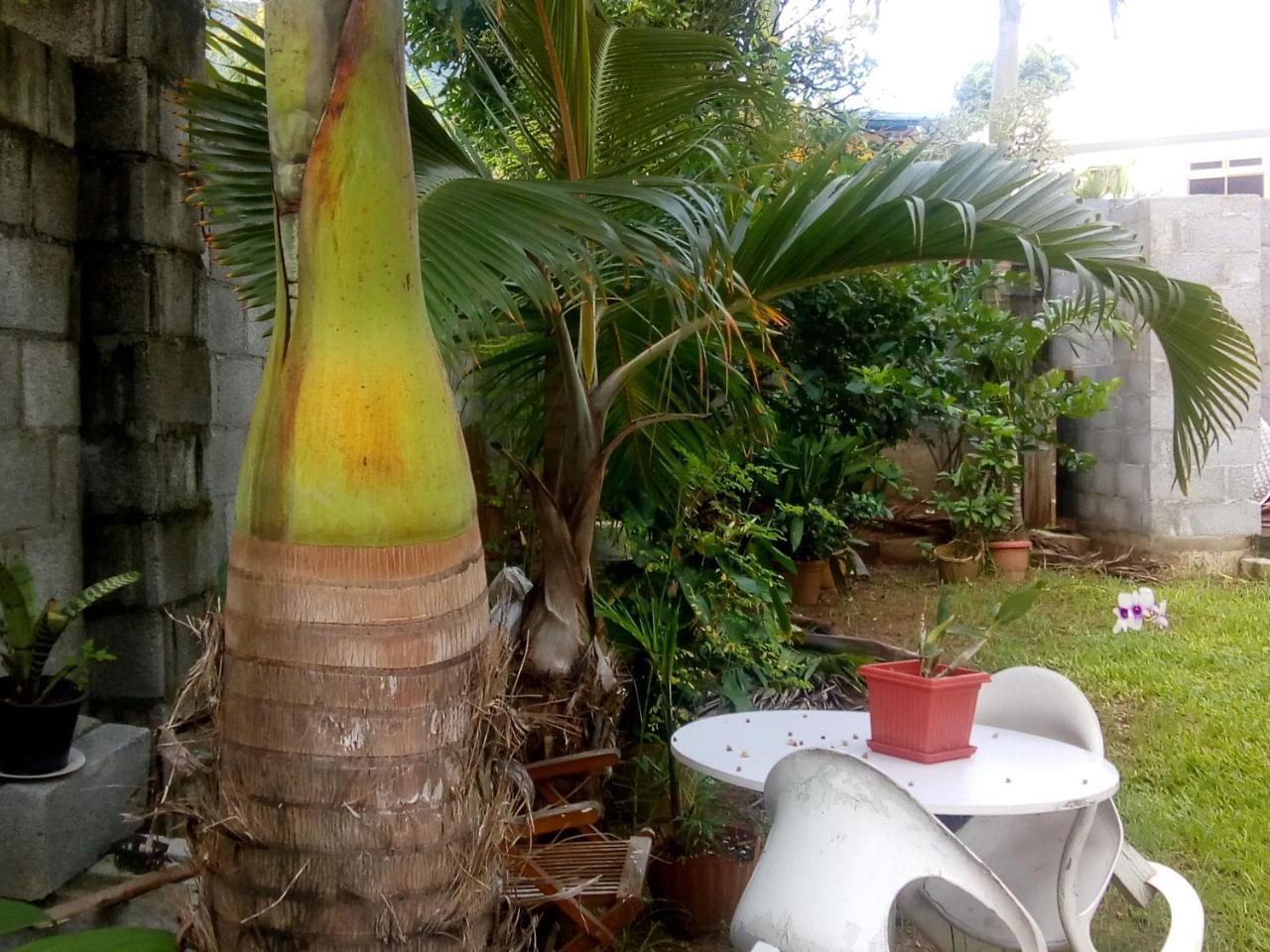 Corner Bay Apartments Beau Vallon,Mahe Victoria Exterior foto